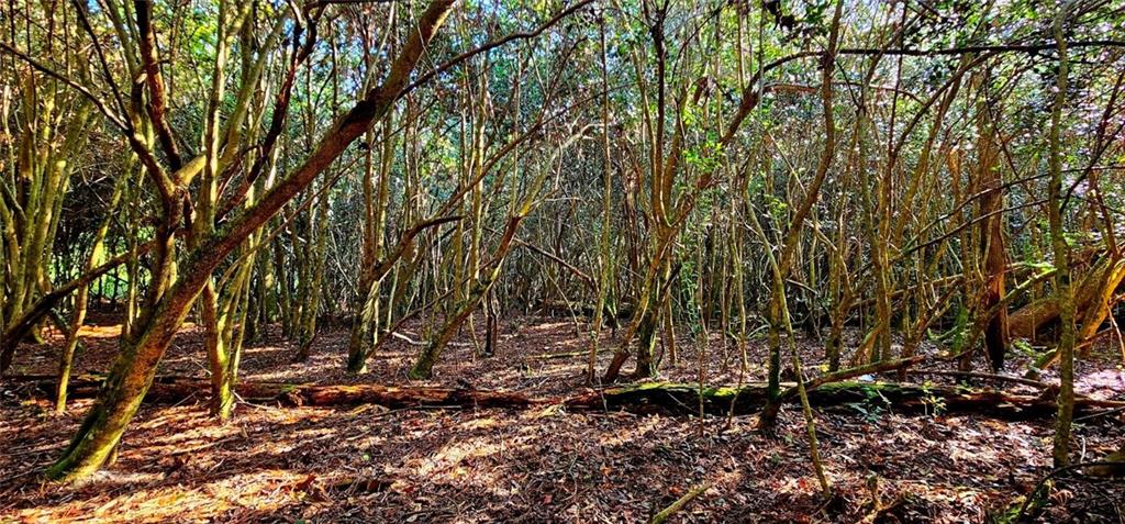 40253 NICOLE ELIZABETH Drive