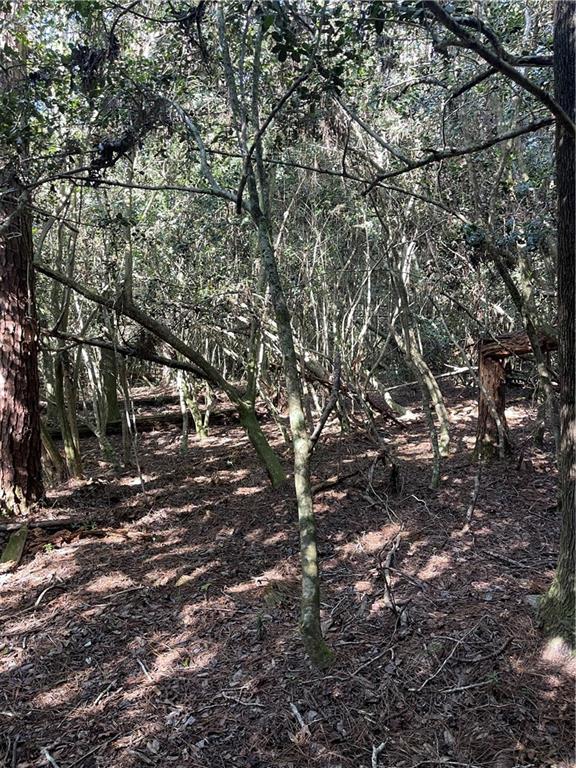 40253 NICOLE ELIZABETH Drive