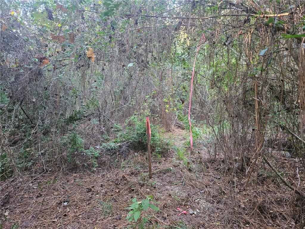 40253 NICOLE ELIZABETH Drive