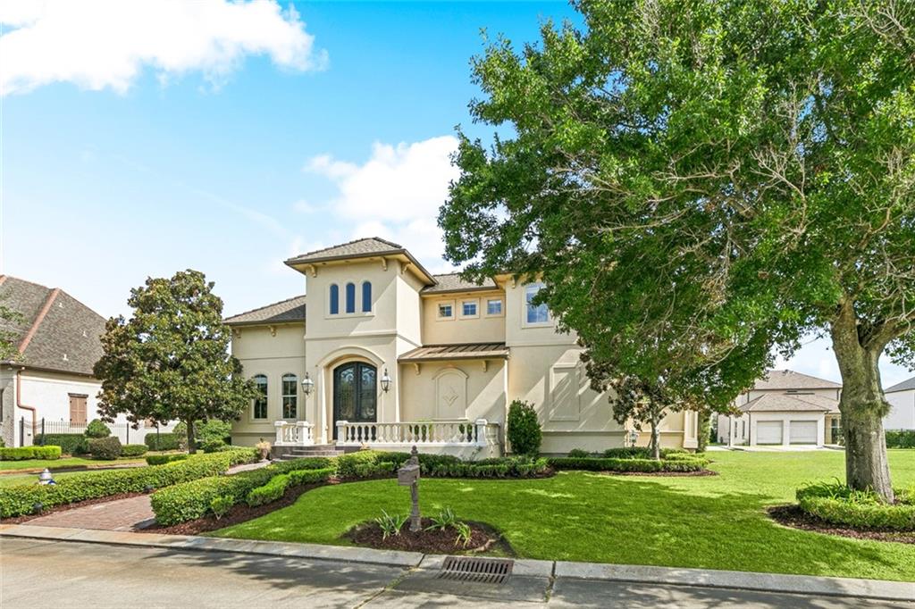 26 CYCAS Street