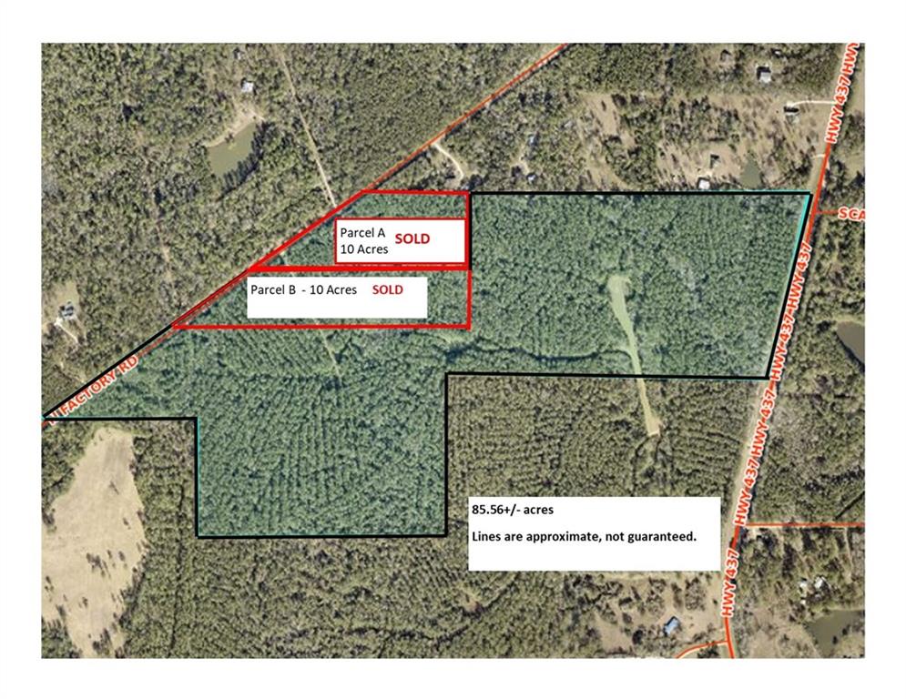 85.56 Acres N HWY 437