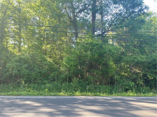 HELENBIRG ROAD, COVINGTON, LA 70433 - Image 606d97b5e37bf85e9be9d5b20eacd252/866162710