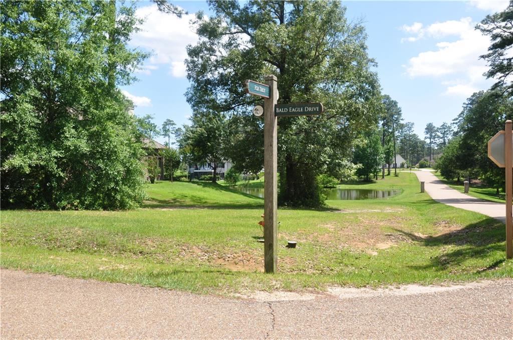 100 BALD EAGLE Drive