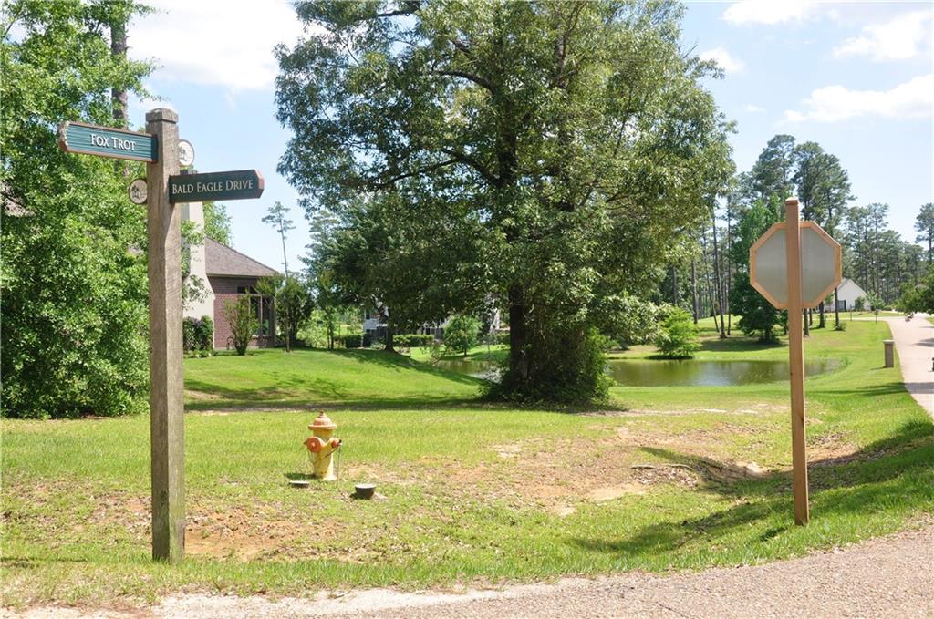 100 BALD EAGLE Drive