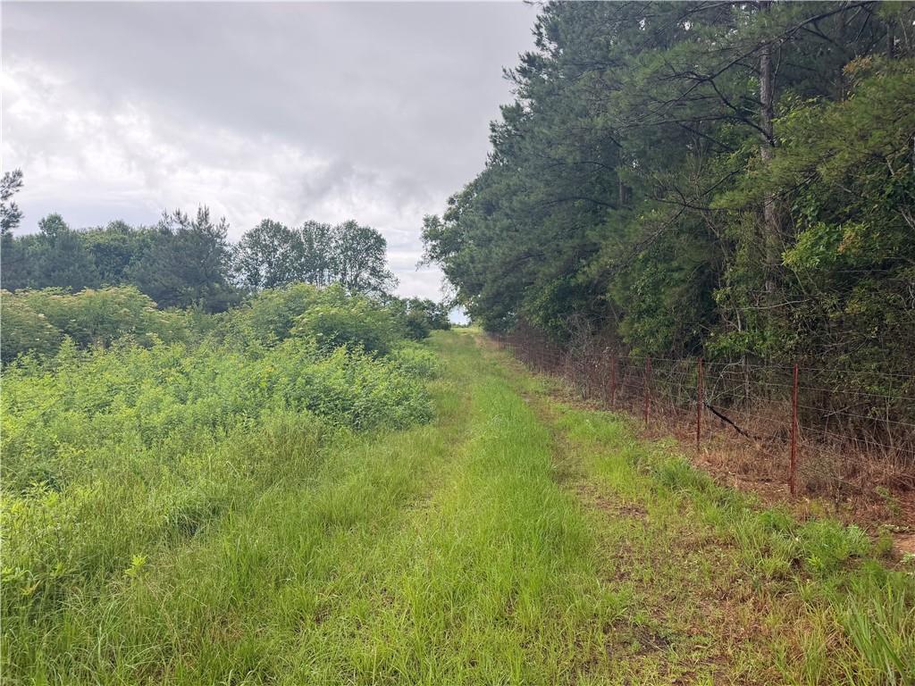 E BELL Road