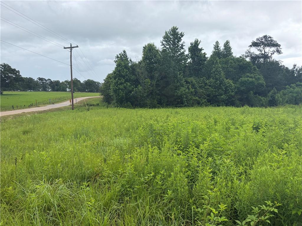 E BELL Road