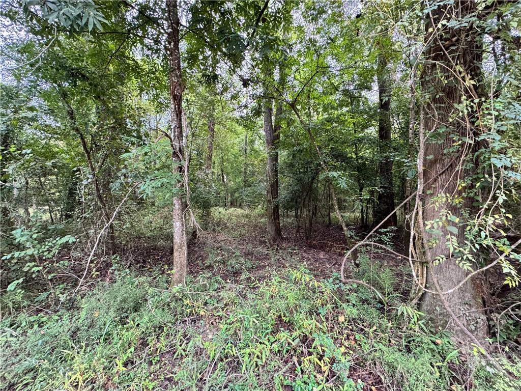 Lot 18 PUSHEPATAPPA CUT OFF Road