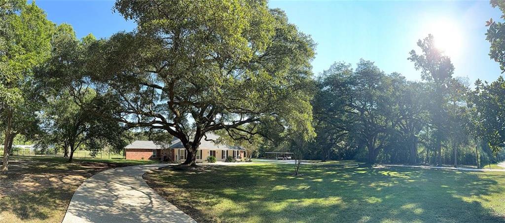 19167 S FITZMORRIS Road