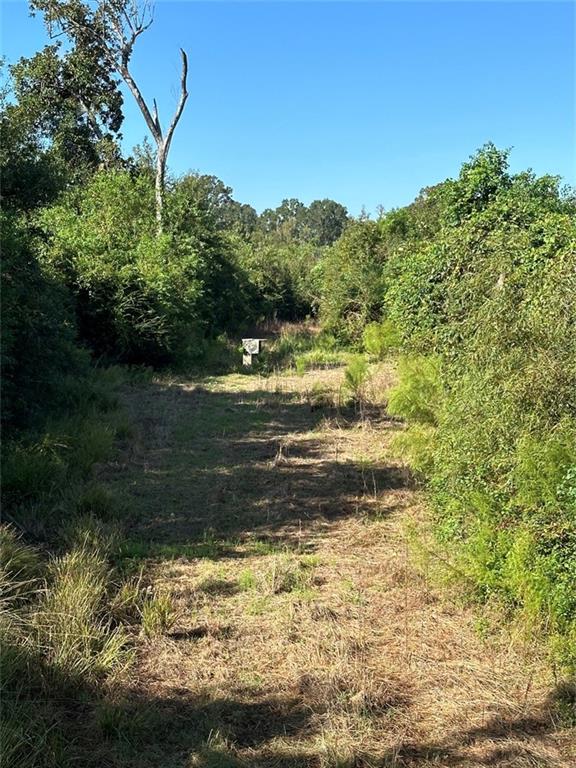 PORT HUDSON-PRIDE RD Road