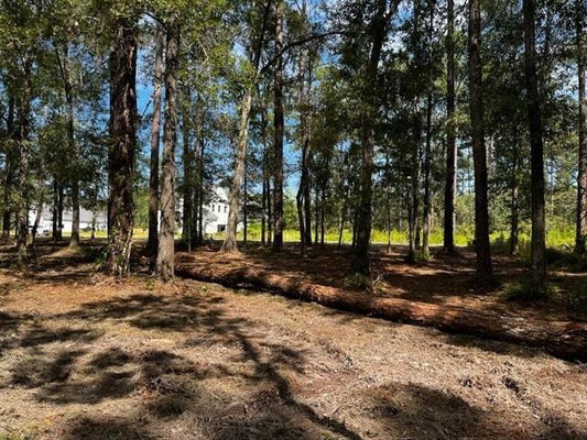 CHARLOTTE ST, LACOMBE, LA 70445 - Image 65bbb3372f52e7ea53b2b2a1e652ff7d/1367926554