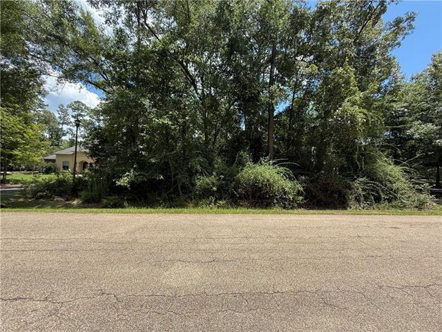 Lot 2 OLD MANDEVILLE Lane