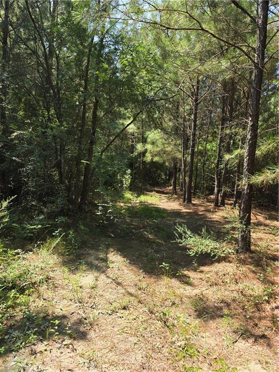 Photo 1 of 5 — WEINBERGER Road, Ponchatoula, LA 70454