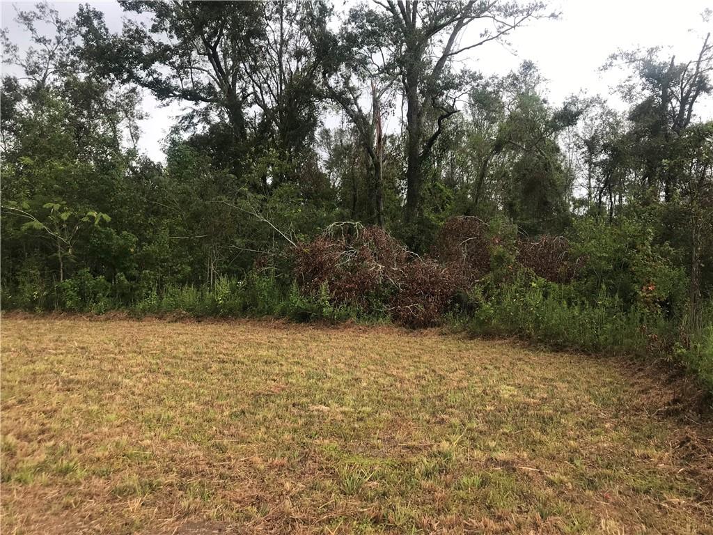 Ponchatoula, Louisiana 70454, United States, ,Land,Active,54094