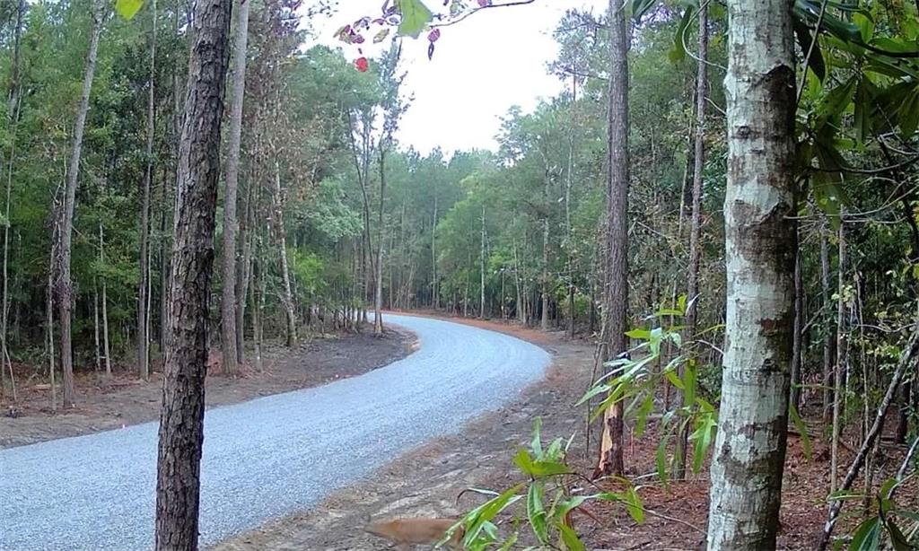 Parcel 7 LOBLOLLY RIDGE Drive