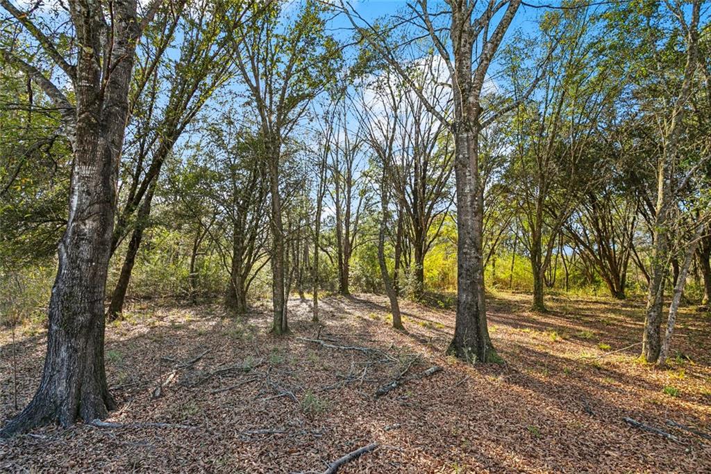 12737 CROSSVINE Drive