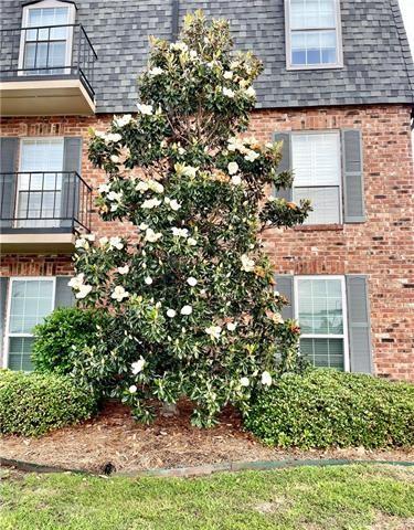 2521 METAIRIE LAWN Drive 103