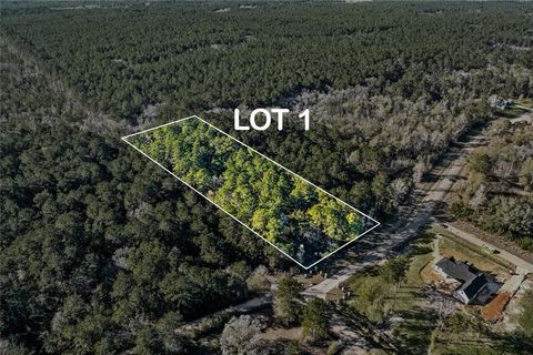 12505 GOLDENTOP Drive Covington LA 70433