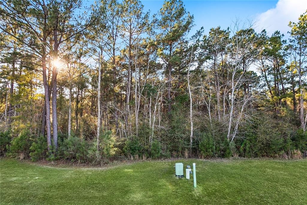 12505 GOLDENTOP Drive