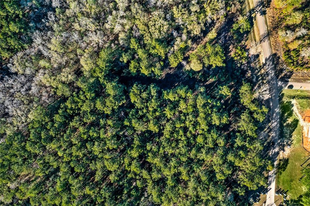 12505 GOLDENTOP Drive