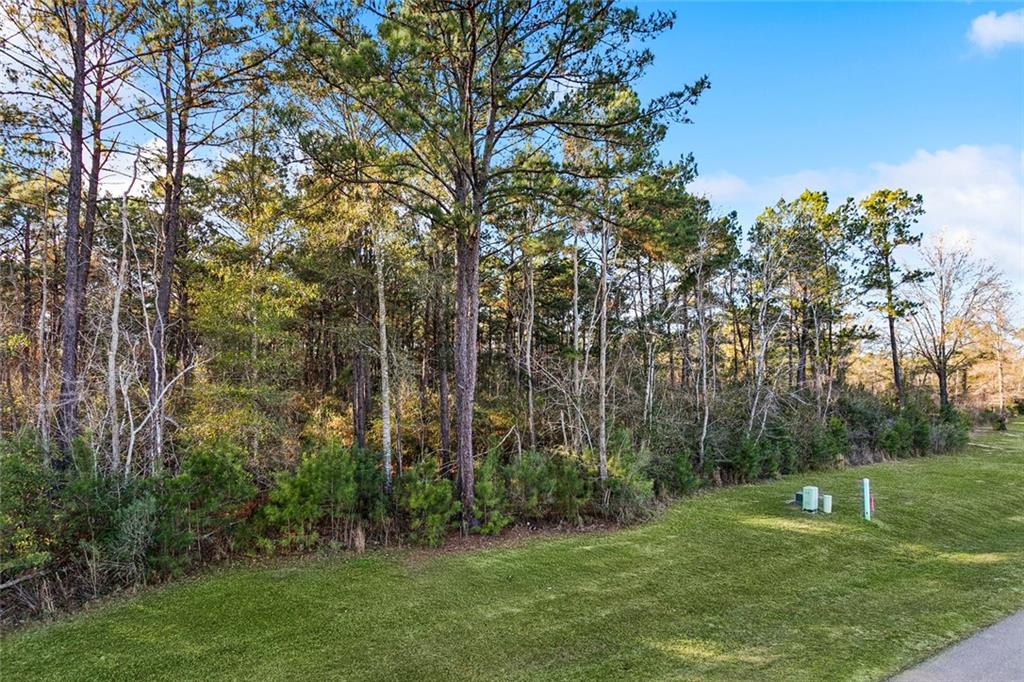 12505 GOLDENTOP Drive