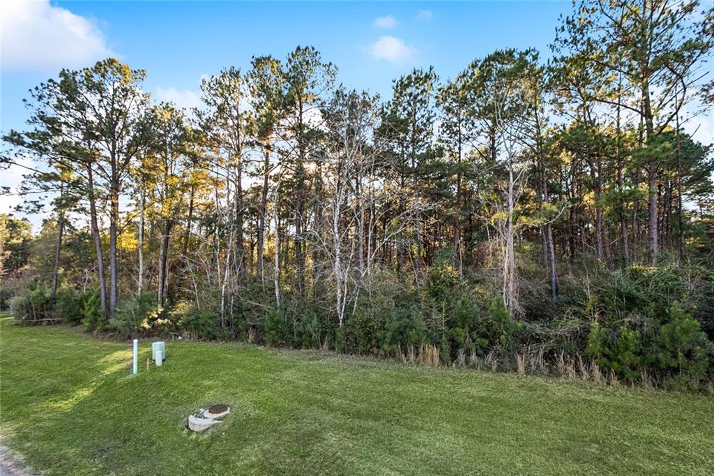 12505 GOLDENTOP Drive