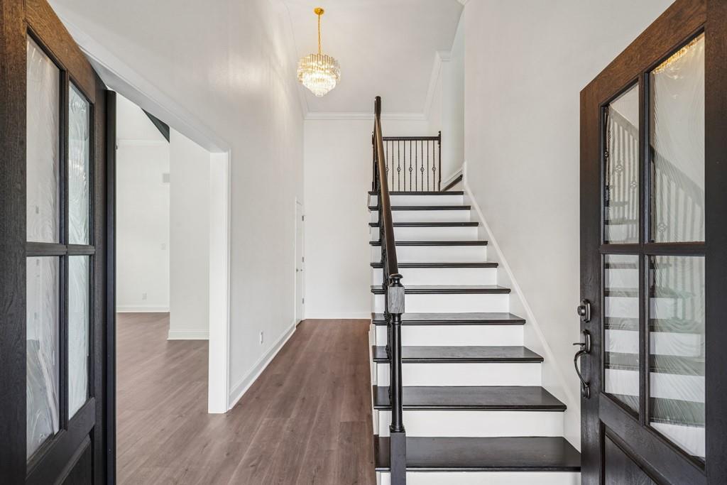 19 SHENANDOAH Street