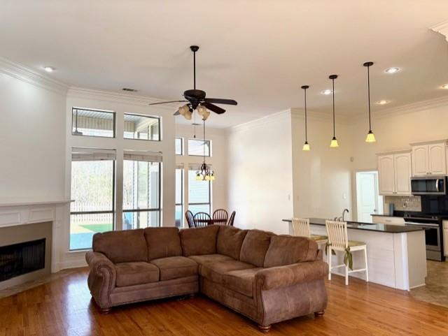 400 BROWN THRASHER Loop