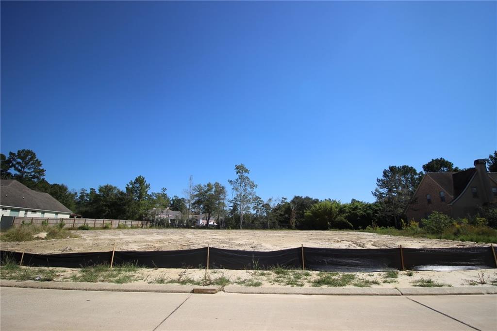 1233 BLUFF Drive