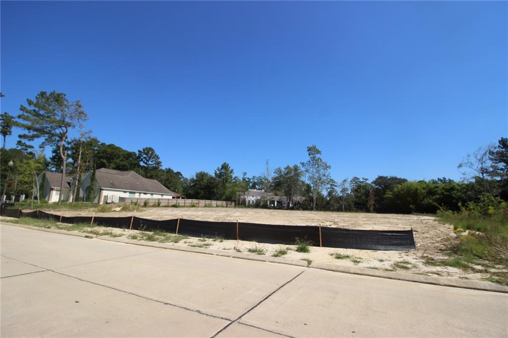 1233 BLUFF Drive