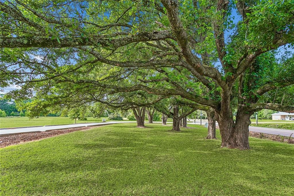 6.1 Acres HWY 437