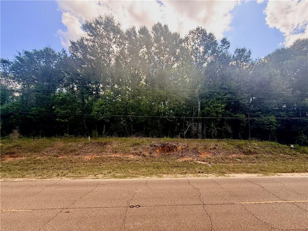TBD 21 Acres HWY 430 Highway