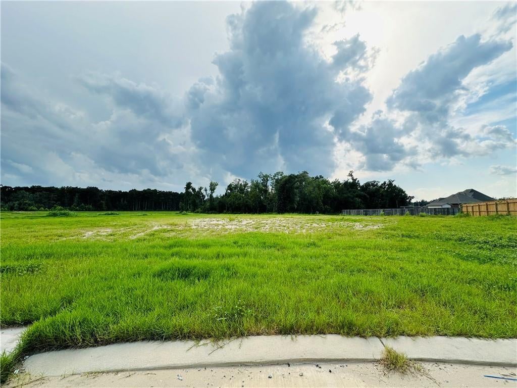 Photo 1 of 2 — 368 SOPHIA Drive, Luling, LA 70070