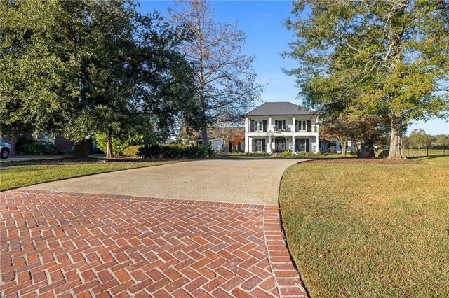 24186 SNOWY EGRET Cove