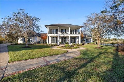 24186 SNOWY EGRET Cove Springfield LA 70462