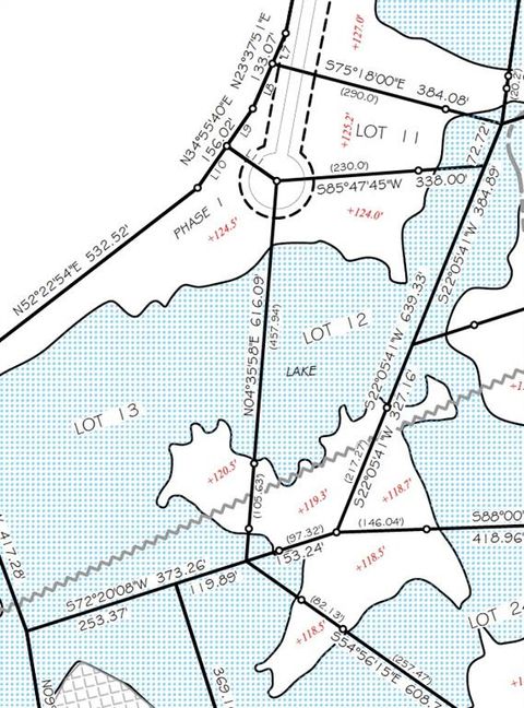Lot 12 THE BANKS, HWY 16 Highway Franklinton LA 70438