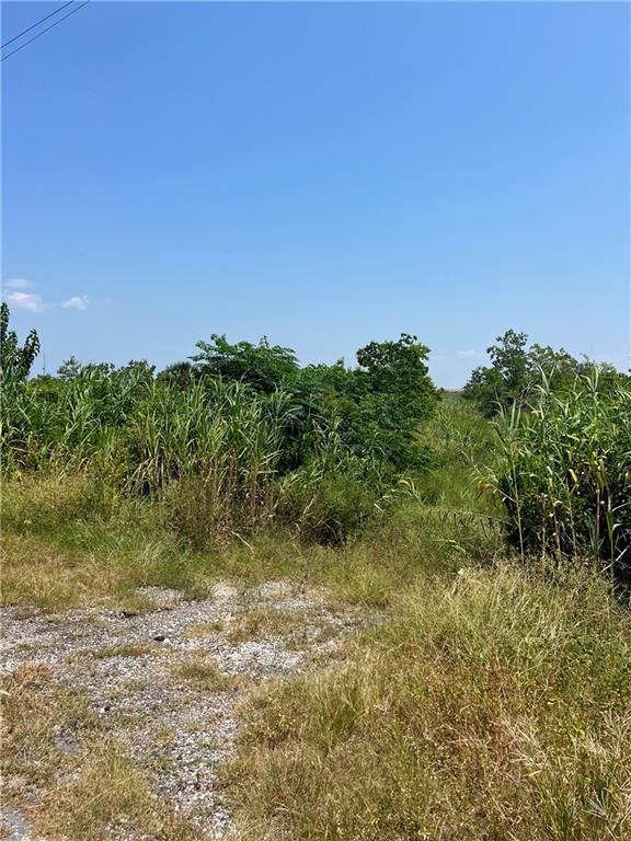 New Orleans, Louisiana 70129, United States, ,Land,Pending,43464