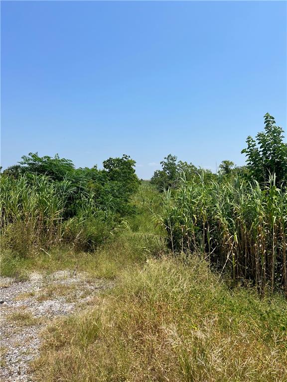 New Orleans, Louisiana 70129, United States, ,Land,Pending,43464