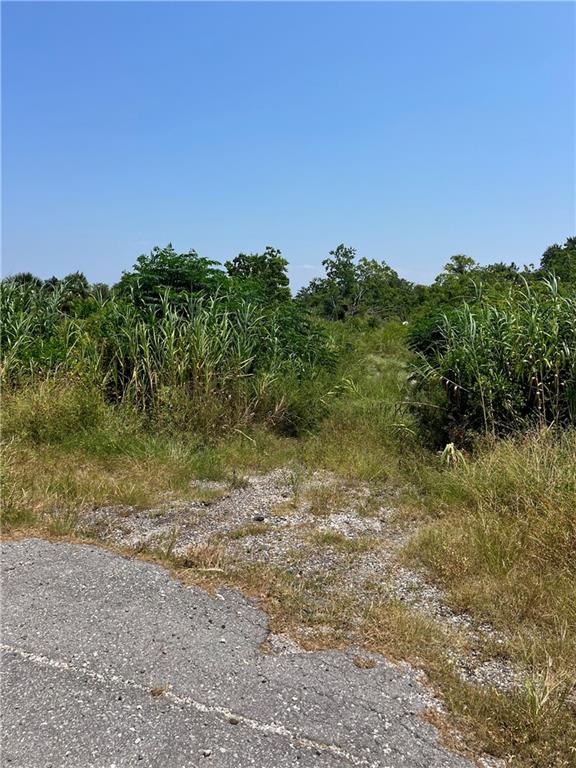 New Orleans, Louisiana 70129, United States, ,Land,Pending,43464