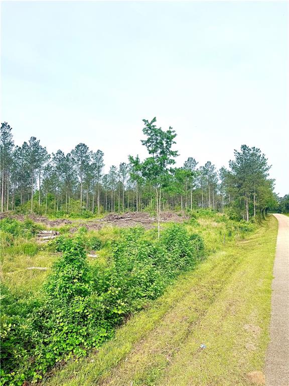 Lot1 TBD LEE Road