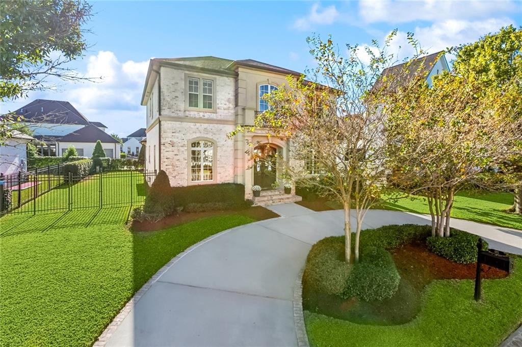 31 PALMETTO