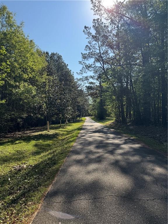 13261 THERESA NAVE Road