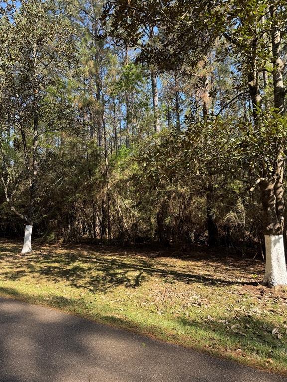 13261 THERESA NAVE Road