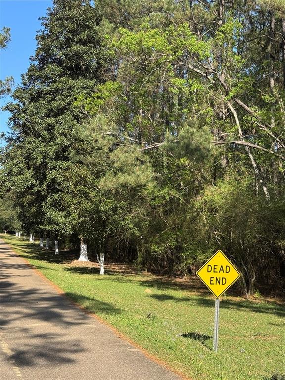 13261 THERESA NAVE Road