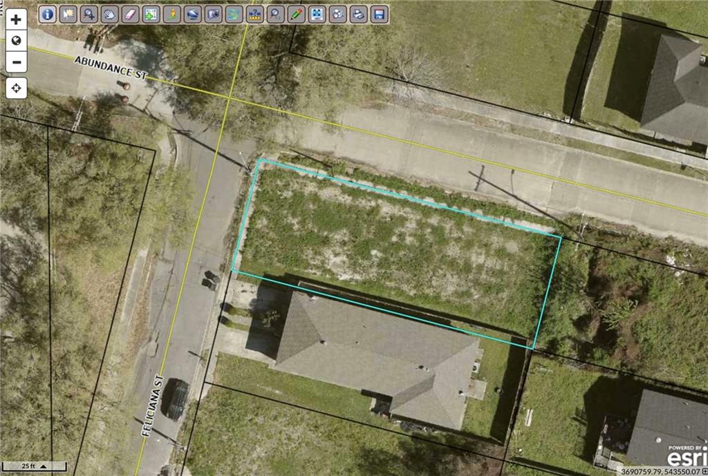 2945 FELICIANA Street