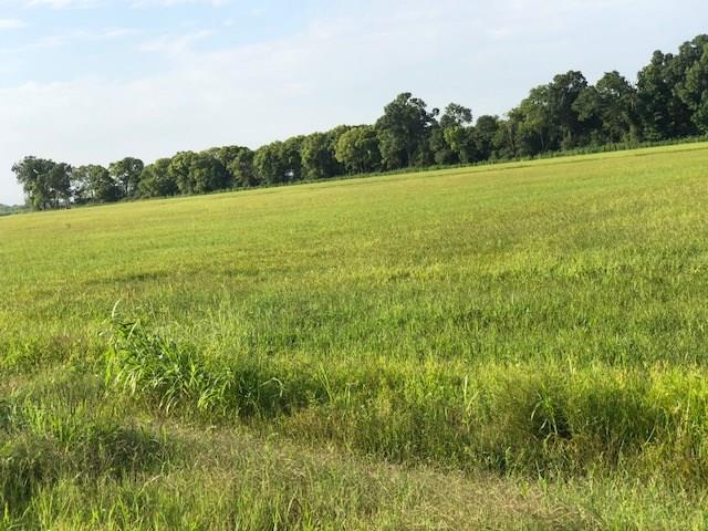 Photo 1 of 1 — 58545 HIGHWAY 404 Highway, White Castle, LA 70788