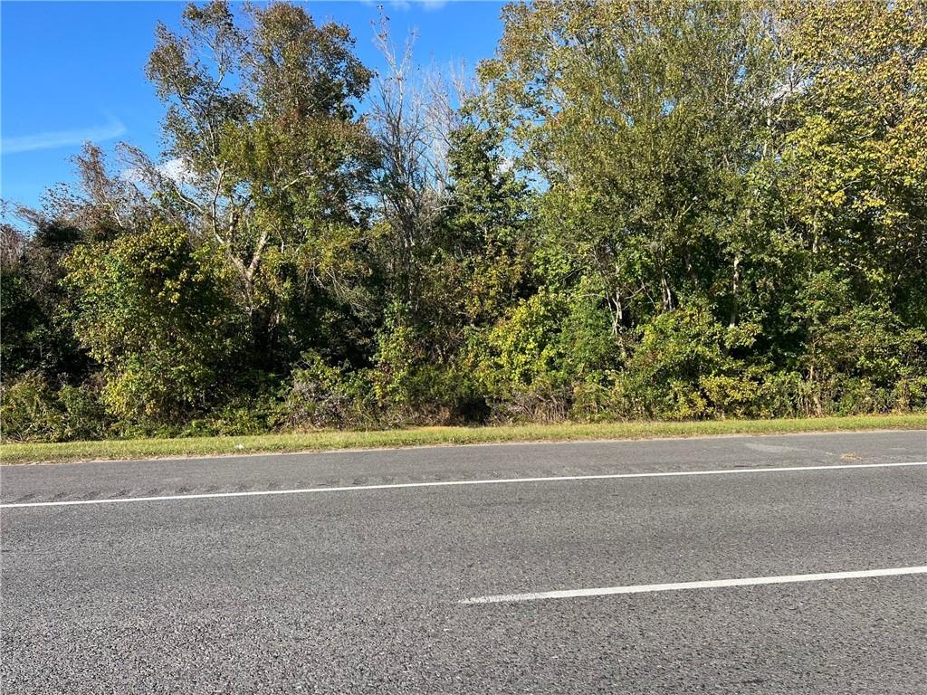 Lot 21 C-2 E LA HWY 46 Highway
