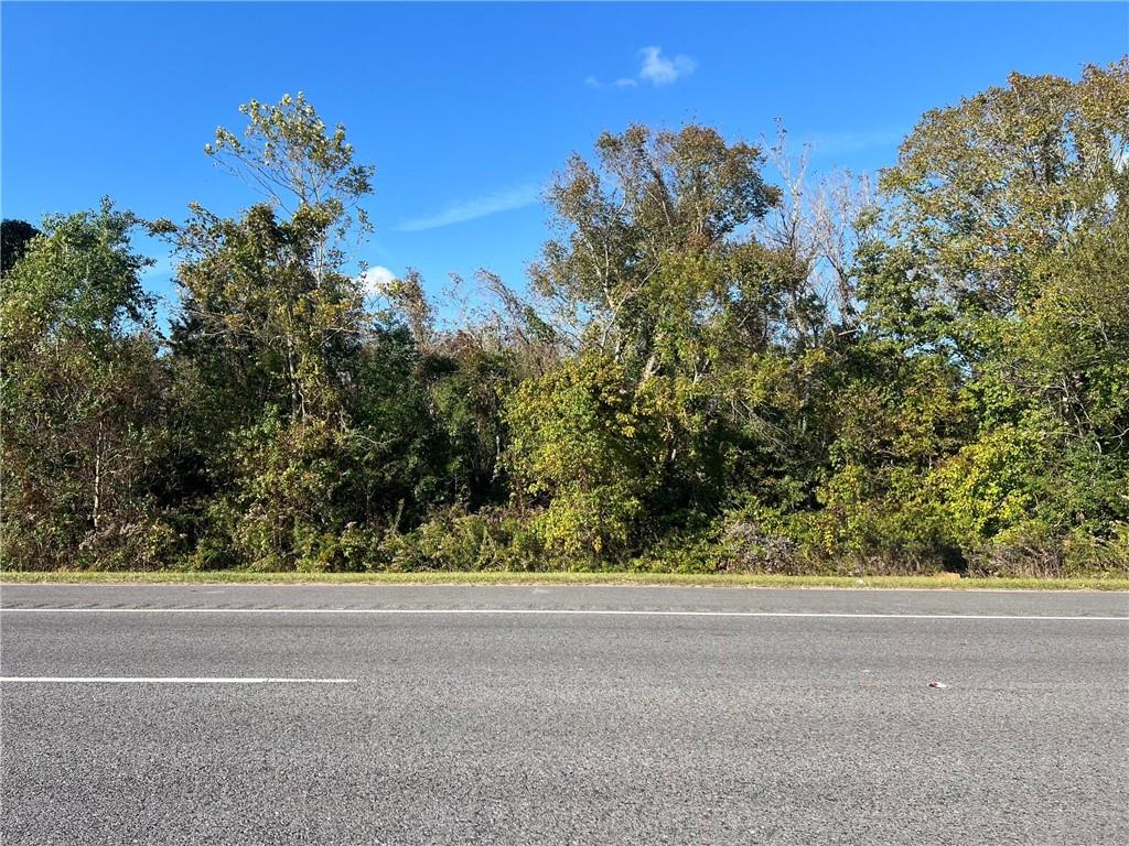 Lot 21 C-2 E LA HWY 46 Highway