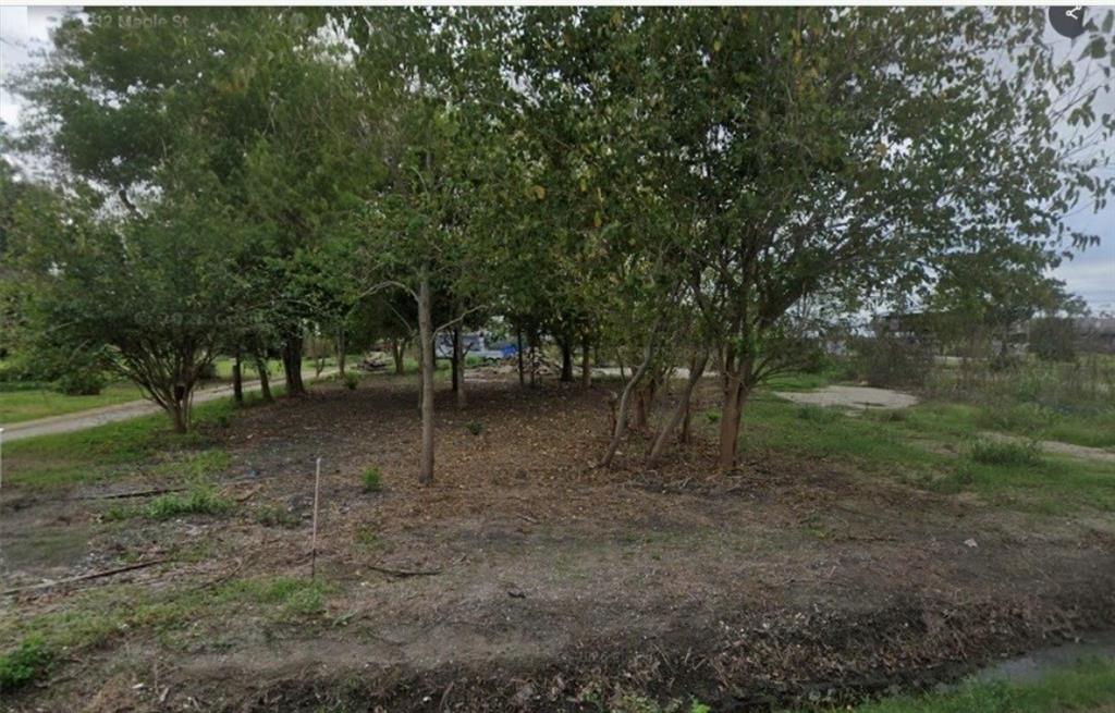 Lot 20 MAPLE Street