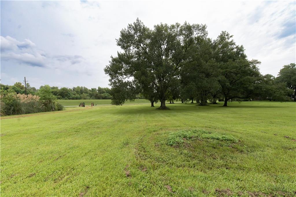 10001 PATTERSON Road