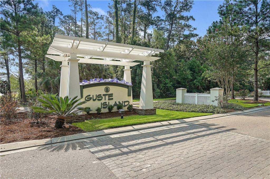 2024 WHITE DOVE Drive